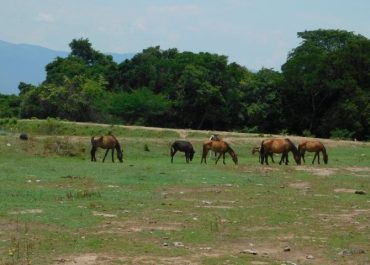¡Descubre Tolima es Magia!
